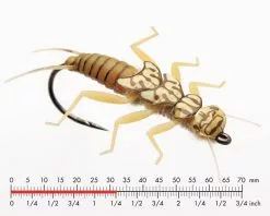 Json Stonefly Nymph 1 Golden