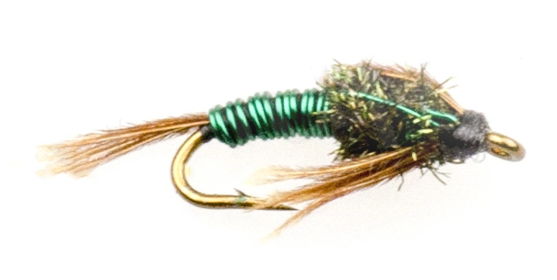 Euro Flies Brass Pheasant Tail Green #20 1 Euro Flies Brass Pheasant Tail Green #20