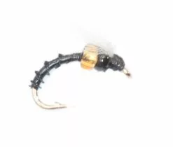 Euro Flies Cased Caddis #14