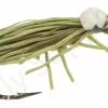 Euro Flies Deckon Beetle Olive #12