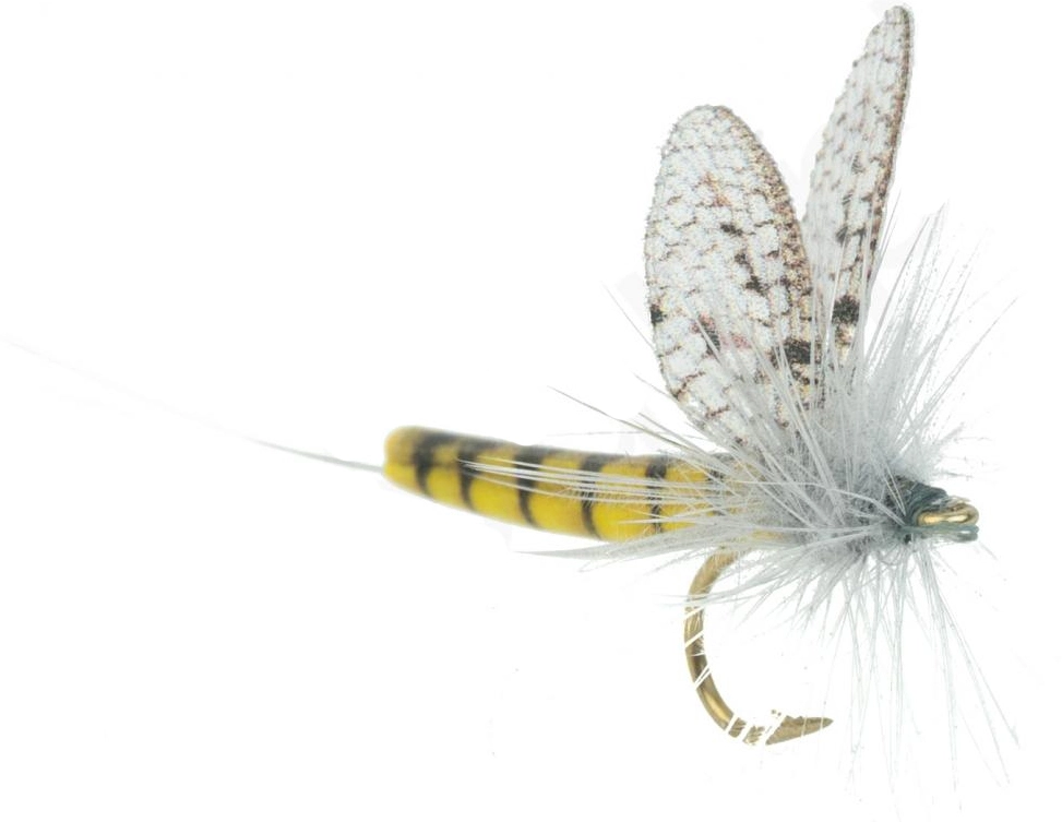 Euro Flies BWO #14 2 Euro Flies BWO #14 - Afbeelding 2