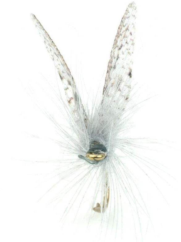 Euro Flies BWO #14 3 Euro Flies BWO #14 - Afbeelding 3