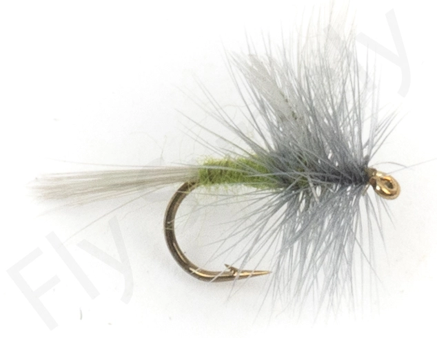 Euro Flies Blue Winged Olive Dry #12 1 Euro Flies Blue Winged Olive Dry #12