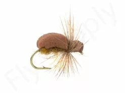 Euro Flies Cochafer #10