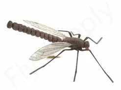 Euro Flies Crane Fly #12