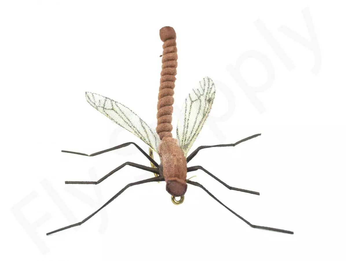 Euro Flies Daddy Long Legs #10 3 Euro Flies Daddy Long Legs #10 - Afbeelding 3