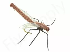 Euro Flies Daddy Long Legs #12
