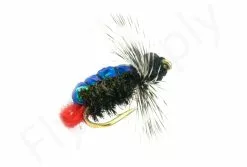Euro Flies Flashback Witch #12 -Droge vliegen Winkel Euro Flies Flashback Witch 12 EF 1122C 12 dsc07767 bewerkt