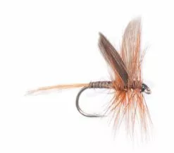 Euro Flies Ginger Quill #14