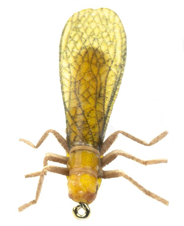 Euro Flies Golden Stone #8 2 Euro Flies Golden Stone #8 - Afbeelding 2