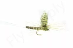 Euro Flies Green Drake Eastern #12