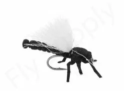 Euro Flies Hawthorn #12