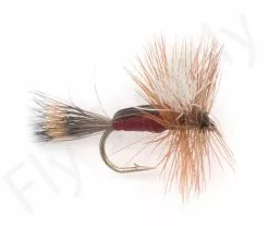 Euro Flies Humphy Royal #12