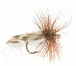 Euro Flies King River Caddis #14