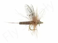 Euro Flies Red Quill #18