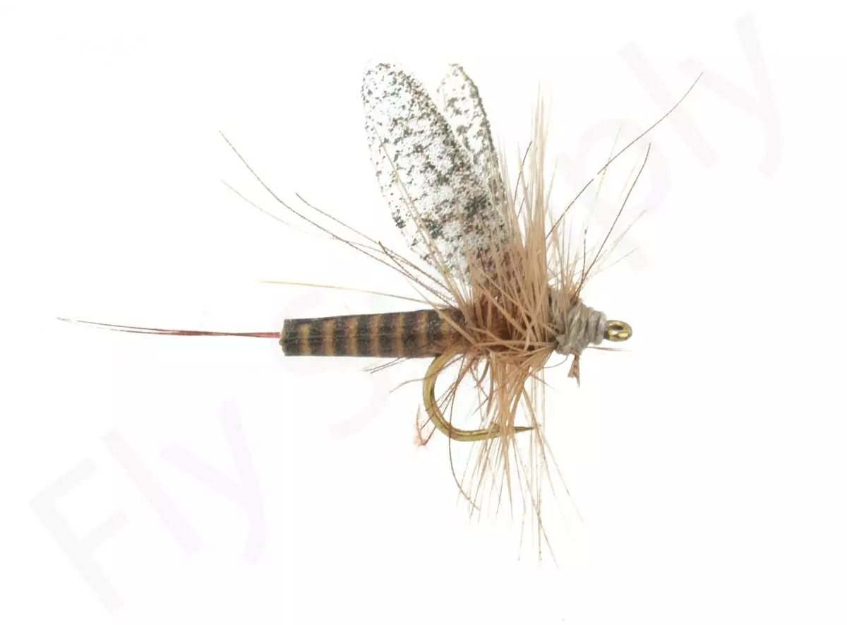 Euro Flies Red Quill #18 1 Euro Flies Red Quill #18