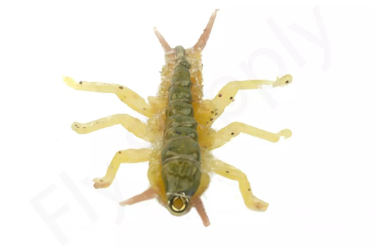 Euro Flies Stone Fly Jig Golden #8 3 Euro Flies Stone Fly Jig Golden #8 - Afbeelding 3