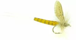 Euro Flies Sulphur #14