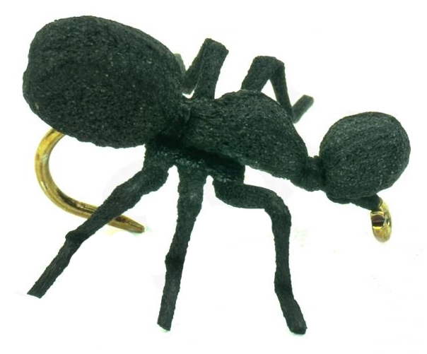 Euro Flies True Ant Black #12 1 Euro Flies True Ant Black #12