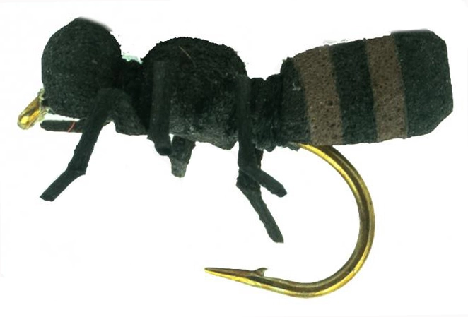 Euro Flies True Ant Cinnamon #12 2 Euro Flies True Ant Cinnamon #12 - Afbeelding 2