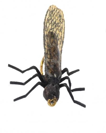 Euro Flies True Stone Fly Little Black #14 2 Euro Flies True Stone Fly Little Black #14 - Afbeelding 2