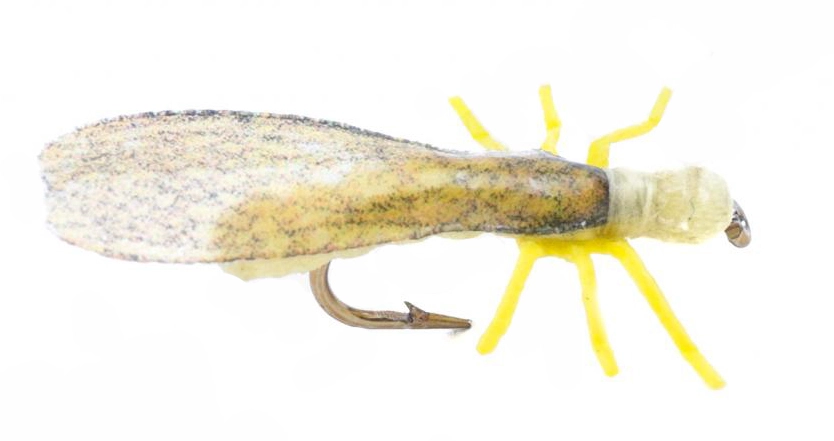 Euro Flies True Stone Fly Yellow #12 1 Euro Flies True Stone Fly Yellow #12