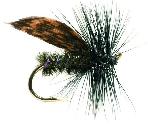 Fulling Mill Alder #16 1 Fulling Mill Alder #16