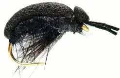 Fulling Mill Carnhill's Foam Beetle #12