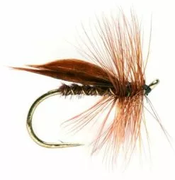 Fulling Mill Cinnamon Sedge #10