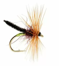 Fulling Mill Claret Palamino #12