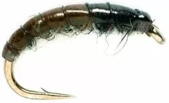 Fulling Mill SM Hydropsyche #12