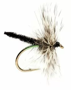 Fulling Mill Spent Palamino #12