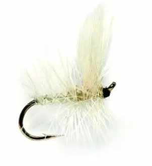 Fulling Mill White Moth #16 1 Fulling Mill White Moth #16