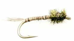 Euro Flies Mosquito Larva #14