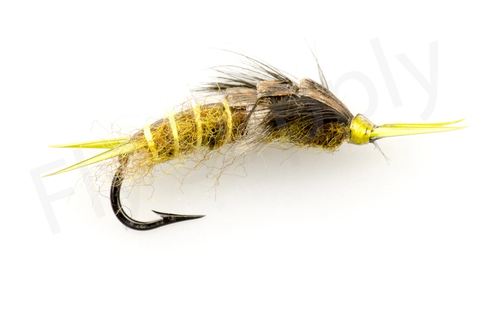 Stone Fly Olive #4 1 Stone Fly Olive #4