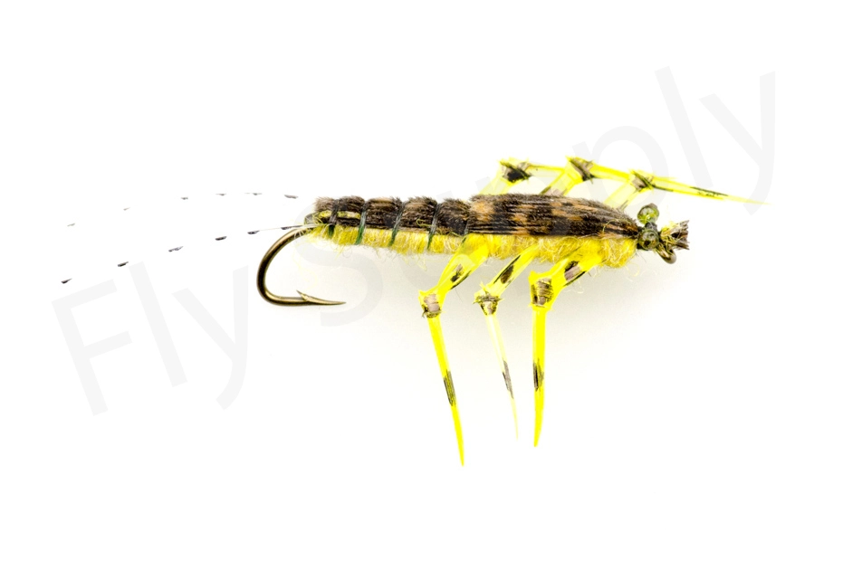 Teds Golden Stone #10 1 Teds Golden Stone #10