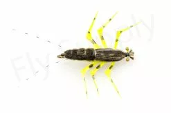 Teds Golden Stone #8