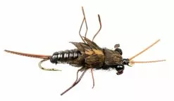 Stella Stone Fly Black #8