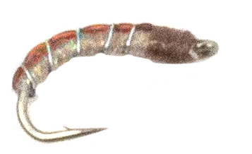 Umpqua Caddis Candy Phares 2 Umpqua Caddis Candy Phares - Afbeelding 2