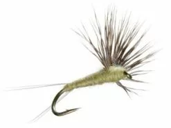 Umpqua Comparadun P.M.D. #18