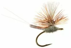 Umpqua Iwan E Dun Para Adams #20