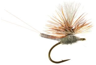 Umpqua Iwan E Dun Para Adams #20 1 Umpqua Iwan E Dun Para Adams #20