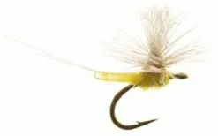 Umpqua Iwan E Dun Para B.W.O. #22