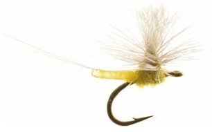 Umpqua Iwan E Dun Para B.W.O. #22 1 Umpqua Iwan E Dun Para B.W.O. #22